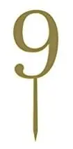 9g.jpg