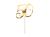 big_KPT62-50-019_01_S.jpg