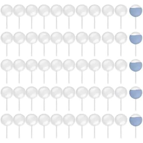 2585.jpg