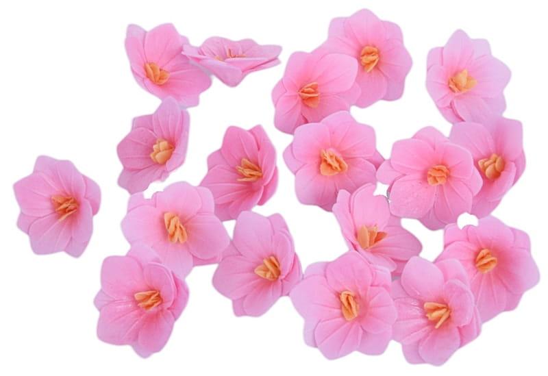 HORTENSJA waflowa różowa 18szt kwiat do dekoracji tortów i ciast-79ef2155ba033c94d4bac0e0a3881450