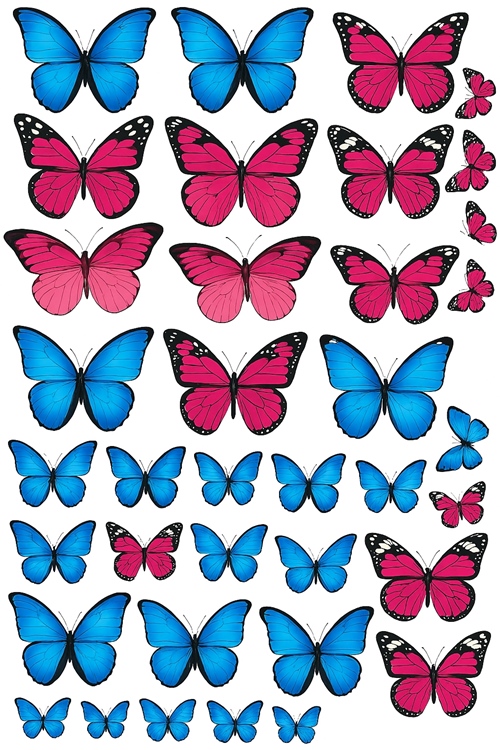 54c14404c0c2dd3b69ab3109a04f474b.jpg