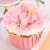 cc3086f496f7a5cc5b659911adb1647a.jpg