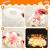 be461cb4b6a215a875705a8886144579.jpg