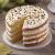 easy_layers_8_inche_cake_pan_set_4_piece_2105-0188_wilton_large.jpg